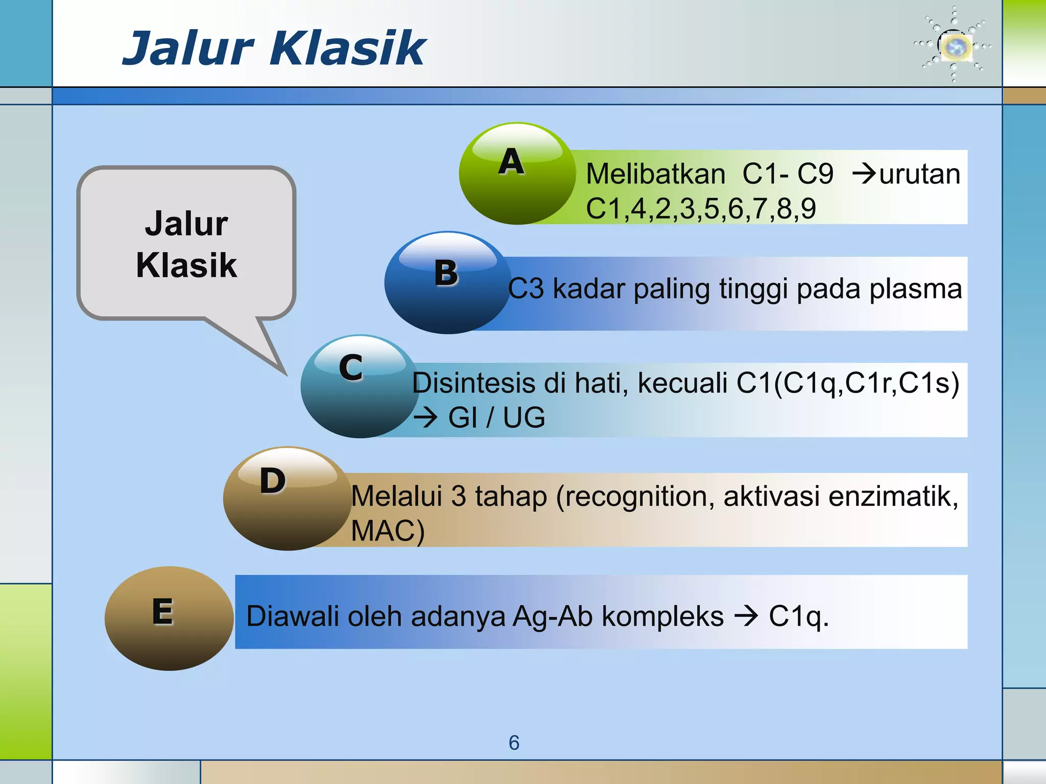 Jalur Klasik

                           A      Melibatkan C1- C9 urutan
                                  C1,4,2,3,5,6,7,8,9
Jalur
Klasik                B     C3 kadar paling tinggi pada plasma

               C    Disintesis di hati, kecuali C1(C1q,C1r,C1s)
                     GI / UG

         D      Melalui 3 tahap (recognition, aktivasi enzimatik,
                MAC)

 E       Diawali oleh adanya Ag-Ab kompleks  C1q.



                            6
 
