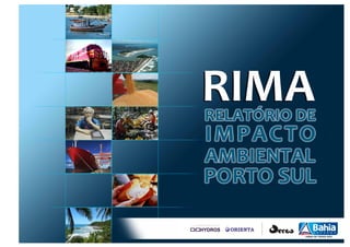 RIMA - Relatório de Impacto Ambiental Porto Sul