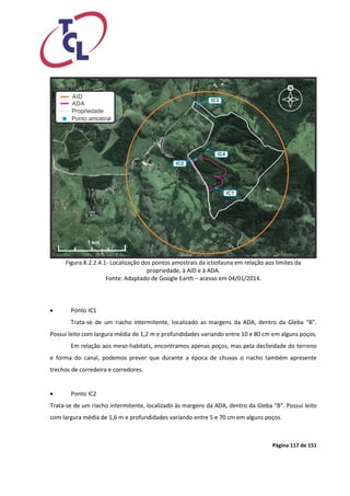 Página 117 de 151 
Figura 8.2.2.4.1- Localização dos pontos amostrais da ictiofauna em relação aos limites da propriedade, à AID e à ADA. 
Fonte: Adaptado de Google Earth – acesso em 04/01/2014. 
 Ponto IC1 
Trata-se de um riacho intermitente, localizado as margens da ADA, dentro da Gleba “B”. Possui leito com largura média de 1,2 m e profundidades variando entre 10 e 80 cm em alguns poços. 
Em relação aos meso-habitats, encontramos apenas poços, mas pela declividade do terreno e forma do canal, podemos prever que durante a época de chuvas o riacho também apresente trechos de corredeira e corredores. 
 Ponto IC2 
Trata-se de um riacho intermitente, localizado às margens da ADA, dentro da Gleba “B”. Possui leito com largura média de 1,6 m e profundidades variando entre 5 e 70 cm em alguns poços.  
