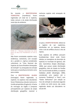 No     tocante    a   MASTOFAUNA                                   nenhuma espécie está ameaçada de
TERRESTR E       (mamíferos)  foram                                extinção.
registradas um total de 17 espécies,
todas comuns e de ampla distribuição
neste tipo de ambiente.




                                                                   F O TO 1 2 – C A R O L L I A P E R S P I C I L L A T A .


                                                                   Já para a HERPETOFAUNA obteve-se
                                                                   o registro de 347 espécimes,
                                                                   distribuídas em 34 espécies, destas
                                                                   vinte e seis de anfíbios anuros e oito de
F O TO 1 1 – P R E G U I Ç A R E G I S T R A D A   NO SETOR
NO RTE DO ARC O N AS P RO XIMIDADES                DE   CHÃ   DE
                                                                   répteis.
CRUZ
                                                                   Duas espécies de anfíbios possuem
Não foram constatadas espécies raras,                              localidade-tipo (local onde foram
endêmicas, vulneráveis, com exceção                                obtidos os exemplares da descrição da
de L. pardalis e L. tigrinus consideradas                          espécie) no município de Igarassu, são
vulneráveis na “Lista Nacional das                                 elas: Gastrotheca fissipes (Boulenger,
Espécies da Fauna Brasileira Ameaçadas                             1888), que possui ampla distribuição
de Extinção” ou ameaçadas de extinção                              geográfica, indo do Estado da Paraíba
tanto para a mastofauna terrestre como                             até o Sul do Estado da Bahia, e a espécie
para a alada.                                                      Haddadus plicifer (Boulenger, 1888),
Para a MASTOFAUNA ALADA                                            considerada uma espécie até o
(morcegos) foram registradas 13                                    momento “Endêmica” e “Rara”, com
espécies. As espécies mais abundantes                              “Dados Deficientes” (em relação ao
foram Phyllostomus discolor (onívoro) e                            risco de extinção na natureza) segundo
Carollia perspicillata (frugívoro). A fauna                        o critério da IUCN (2012), não sendo
de morcegos da região é composta                                   registrada desde sua descoberta no
principalmente por espécies de ampla                               século XIX.
distribuição geográfica nacional e




                                           RIMA - ARCO VIÁRIO DA RMR - 54
 