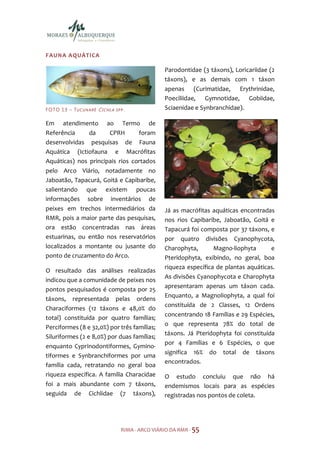 FAUNA AQUÁTICA

                                                             Parodontidae (3 táxons), Loricariidae (2
                                                             táxons), e as demais com 1 táxon
                                                             apenas (Curimatidae, Erythrinidae,
                                                             Poeciliidae, Gymnotidae, Gobiidae,
F O TO 1 3 – T U C U N A R É C I C H L A   SPP.              Sciaenidae e Synbranchidae).

Em atendimento ao Termo de
Referência     da     CPRH       foram
desenvolvidas pesquisas de Fauna
Aquática (Ictiofauna e Macrófitas
Aquáticas) nos principais rios cortados
pelo Arco Viário, notadamente no
Jaboatão, Tapacurá, Goitá e Capibaribe,
salientando que existem poucas
informações sobre inventários de
peixes em trechos intermediários da                          Já as macrófitas aquáticas encontradas
RMR, pois a maior parte das pesquisas,                       nos rios Capibaribe, Jaboatão, Goitá e
ora estão concentradas nas áreas                             Tapacurá foi composta por 37 táxons, e
estuarinas, ou então nos reservatórios                       por quatro divisões Cyanophycota,
localizados a montante ou jusante do                         Charophyta,       Magno-liophyta      e
ponto de cruzamento do Arco.                                 Pteridophyta, exibindo, no geral, boa
                                                             riqueza específica de plantas aquáticas.
O resultado das análises realizadas
                                                             As divisões Cyanophycota e Charophyta
indicou que a comunidade de peixes nos
                                                             apresentaram apenas um táxon cada.
pontos pesquisados é composta por 25
                                                             Enquanto, a Magnoliophyta, a qual foi
táxons, representada pelas ordens
                                                             constituída de 2 Classes, 12 Ordens
Characiformes (12 táxons e 48,0% do
                                                             concentrando 18 Famílias e 29 Espécies,
total) constituída por quatro famílias;
                                                             o que representa 78% do total de
Perciformes (8 e 32,0%) por três famílias;
                                                             táxons. Já Pteridophyta foi constituída
Siluriformes (2 e 8,0%) por duas famílias;
                                                             por 4 Famílias e 6 Espécies, o que
enquanto Cyprinodontiformes, Gymino-
                                                             significa 16% do total de táxons
tiformes e Synbranchiformes por uma
                                                             encontrados.
família cada, retratando no geral boa
riqueza específica. A família Characidae                     O estudo concluiu que não há
foi a mais abundante com 7 táxons,                           endemismos locais para as espécies
seguida de Cichlidae (7 táxons),                             registradas nos pontos de coleta.




                                             RIMA - ARCO VIÁRIO DA RMR - 55
 