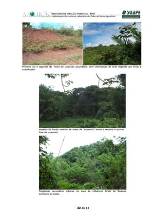 A                                                    B




Primeira (A) e segunda (B) fases da sucessão secundária, com colonização de área degrada por ervas e
subarbustos.




              Aspecto da borda exterior de áreas de “capoeira” (entre a terceira e quarta
              fase de sucessão).




             Vegetação secundária arbórea na área de influência direta da Rodovia
             Contorno do Cabo.




                                               22 de 61
 