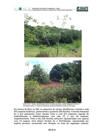 A




                B




         Foto A e B - Áreas classificadas como Fruteiras exóticas, onde Syzygium cumini é
         monodominante, na área de influência direta da Rodovia Contorno do Cabo.

Em termos de flora na AID, as pesquisas de campo identificaram noventa e sete
(97) espécies botânicas, pertencentes a quarenta (40) famílias. A família Fabaceae
foi a que apresentou maior riqueza (vinte e uma (21) espécies), seguida de
Euphorbiaceae e Melastomataceae com sete (7) e seis (6) espécies,
respectivamente. Vinte e três (23) famílias estiveram representadas com apenas
uma (1) espécie. Uma dessas famílias foi a Orchidaceae, representada por
espécie terrestre, encontrada sem floração na área de vegetação arbórea.


                                             23 de 61
 