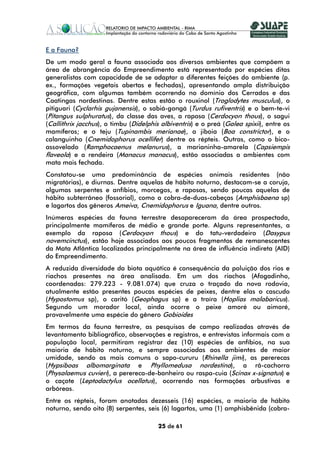 E a Fauna?
De um modo geral a fauna associada aos diversos ambientes que compõem a
área de abrangência do Empreendimento está representada por espécies ditas
generalistas com capacidade de se adaptar a diferentes feições do ambiente (p.
ex., formações vegetais abertas e fechadas), apresentando ampla distribuição
geográfica, com algumas também ocorrendo no domínio dos Cerrados e das
Caatingas nordestinas. Dentre estas estão o rouxinol (Troglodytes musculus), o
pitiguari (Cyclarhis gujanensis), o sabiá-gongá (Turdus rufiventris) e o bem-te-vi
(Pitangus sulphuratus), da classe das aves, a raposa (Cerdocyon thous), o sagui
(Callithrix jacchus), o timbu (Didelphis albiventris) e o preá (Galea spixii), entre os
mamíferos; e o teju (Tupinambis merianae), a jiboia (Boa constrictor), e o
calanguinho (Cnemidophorus ocellifer) dentre os répteis. Outras, como o bico-
assovelado (Ramphocaenus melanurus), a marianinha-amarela (Capsiempis
flaveola) e a rendeira (Manacus manacus), estão associadas a ambientes com
mata mais fechada.
Constatou-se uma predominância de espécies animais residentes (não
migratórias), e diurnas. Dentre aquelas de hábito noturno, destacam-se a coruja,
algumas serpentes e anfíbios, morcegos, e raposas, sendo poucas aquelas de
hábito subterrâneo (fossorial), como a cobra-de-duas-cabeças (Amphisbaena sp)
e lagartos dos gêneros Ameiva, Cnemidophorus e Iguana, dentre outros.
Inúmeras espécies da fauna terrestre desapareceram da área prospectada,
principalmente mamíferos de médio e grande porte. Alguns representantes, a
exemplo da raposa (Cerdocyon thous) e do tatu-verdadeiro (Dasypus
novemcinctus), estão hoje associados aos poucos fragmentos de remanescentes
da Mata Atlântica localizados principalmente na área de influência indireta (AID)
do Empreendimento.
A reduzida diversidade da biota aquática é consequência da poluição dos rios e
riachos presentes na área analisada. Em um dos riachos (Afogadinho,
coordenadas: 279.223 - 9.081.074) que cruza o traçado da nova rodovia,
atualmente estão presentes poucas espécies de peixes, dentre elas o cascudo
(Hypostomus sp), o caritó (Geophagus sp) e a traíra (Hoplias malabaricus).
Segundo um morador local, ainda ocorre o peixe amoré ou aimoré,
provavelmente uma espécie do gênero Gobioides
Em termos da fauna terrestre, as pesquisas de campo realizadas através de
levantamento bibliográfico, observações e registros, e entrevistas informais com a
população local, permitiram registrar dez (10) espécies de anfíbios, na sua
maioria de hábito noturno, e sempre associadas aos ambientes de maior
umidade, sendo as mais comuns o sapo-cururu (Rhinella jimi), as pererecas
(Hypsiboas albomarginata e Phyllomedusa nordestina), a rã-cachorro
(Physalaemus cuvieri), a perereca-de-banheiro ou raspa-cuia (Scinax x-signatus) e
o caçote (Leptodactylus ocellatus), ocorrendo nas formações arbustivas e
arbóreas.
Entre os répteis, foram anotadas dezesseis (16) espécies, a maioria de hábito
noturno, sendo oito (8) serpentes, seis (6) lagartos, uma (1) amphisbênida (cobra-

                                        25 de 61
 