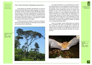 RELATÓRIO DE
IMPACTO            2.2.2 Fauna Terrestre: Mastofauna (Mamíferos)                        Os estudos identificaram uma predominância de mamí-
                                                                                  feros diversificada, com raras espécies de importância para a
                                                                                                                                                               2
AMBIENTAL                                                                                                                                           DIAGNÓSTICO
PORTO SUL                                                                         conservação. Essa é uma característica comum em ambien-             AMBIENTAL
                        As 46 espécies de mamíferos identificadas nas áreas de    tes alterados. Foram encontrados: a paca, em mata de uma
                   influência do empreendimento estão integradas à 7 ordens e     fazenda na qual o dono não permite caça, o caetitu, cujo
                   10 famílias. Destas, 16 espécies foram identificadas apenas    registro foi restrito ao único fragmento identificado como
                   pela literatura e não foram contabilizadas em cálculos para    Floresta Ombrofila, em estagio médio de regeneração e o
                   análise ecológica e das 30 confirmadas, 10 (33%) foram de      macaco-prego, próximo da reserva legal de uma fazenda. A
                   animais de médio e grande porte, 5 (17%) de pequeno porte      presença do macaco-prego passa a dar importância ao frag-
                   não voadores (pequenos roedores e marsupiais) e 15 (50%)       mento devido à sua inserção na categoria da IUCN (espécie
                   de pequeno porte voadores (morcegos).                          criticamente em perigo de extinção) e também de acordo
                        Na Área Diretamente Afetada e na Área de Influência       com a Instrução Normativa 03/03.
                   Direta, em função do alto grau de alteração, poucas espécies       Entre os morcegos, houve predominância de espécies
                   de mamíferos foram identificadas.                              que se alimentam de frutas. Foi detectada a presença de
                                                                                  uma espécie de morcego hematófago (que se alimenta de
                                                                                  sangue), além de relatos de sua agressão aos bovinos, indi-
                                                                                  cando provável alteração ambiental alterando seu compor-
                                                                                  tamento.

Ambiente terres-
tre.
Fonte: Hydros/
Orienta, 2011.




                                                                                                                                                  Morcego
                                                                                                                                                  (mamífero voa-
                                                                                                                                                  dor).
                                                                                                                                                  Fonte: Hydros/
                                                                                                                                                  Orienta, 2011.




                                                                                                                                                              33
 