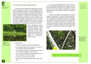 2                  2.2.3 Fauna Terrestre: Avifauna (Aves)                              Os urubus-de-cabeça-preta foram as aves mais abun-
                                                                                  dantes nos ambientes perturbados e/ou abertos (cabruca,
                                                                                                                                                       RELATÓRIO DE
                                                                                                                                                       IMPACTO
DIAGNÓSTICO                                                                                                                                            AMBIENTAL
                                                                                  áreas antropizadas e restinga). Essa é a espécie de urubu
AMBIENTAL               A avifauna da Área Diretamente Afetada é predominan-                                                                           PORTO SUL
                                                                                  mais comum nas áreas abertas e habitadas de qualquer
                   temente composta por espécies com baixa exigência em re-       região do Brasil, sendo pouco freqüente em ambientes
                   lação à integridade ambiental, que são facilmente observa-     florestados.
                   das em outras áreas da região. Os estudos identificaram 141
                   espécies, revelando a biodiversidade da avifauna. A fitosio-        O xexéu foi a espécie mais abundante na floresta,
                   nomia predominante na região de estudo (Cabruca), man-         segunda mais abundante na cabruca e terceira mais abun-
                   tém vegetação de maior altura nas áreas de cultivo, o que      dante nos ambientes antropizados amostrados. Entretan-
                   permite a manutenção de espécies que utilizam o estrato        to, os registros dessa espécie indicaram menor freqüência
                   mais alto da vegetação, especialmente as que se alimentam      na restinga. Trata-se de espécie comum no litoral sul do
                   de frutas e sementes arbóreas. Por outro lado, as espécies     Estado e de fácil registro, por possuir viva coloração ama-
                   que dependem do sub-bosque são de ocorrência mais rara.        relo e preto e canto alto. Costuma utilizar bordas de matas
                                                 Foram identificadas espécies     e apresentam elevada plasticidade nutricional, tratando-se
                                                 tipicamente florestais, como     de espécie onívora (que se alimenta de vegetais e ani-
                                                 chorozinho-de-boné e inham-      mais).
                                                 bu-chororó estiveram pouco
                                                 distribuídas na área. Outras
                                                 espécies identificadas em Ari-
                                                 taguá foram a garça-branca-
                                                 grande e o pica-pau-de-
                                                 cabeça-amarela.
                                                                                                                                                  Galbula ruficau-
                                                                                                                                                  da_anilhado.
                                                                                                                                                  Fonte: Hydros /
                                                                                                                                                  Orienta, 2011.
 Garça-branca-
 grande.               Destacam-se:
 Fonte: Hydros /
 Orienta, 2011.         10 espécies endêmicas do Bioma Mata Atlântica;
                        Uma espécie listada como “Vulnerável” em nível na-
                           cional e global -(chorozinho-de-boné);
                          Uma espécie listada como “Em perigo” de extinção
                           em nível nacional e global - beija-flor-canela;
                          Duas espécies cinegéticas (aquelas permitidas para o
                           exercício da caça) - o xexéu e a perdiz;                           Fitofisionomia é a aparência da vegetação na paisagem.
                          21 (vinte e um) espécies de estimação;
                          Duas espécies de origem exótica do território nacio-
                           nal.
 34
 