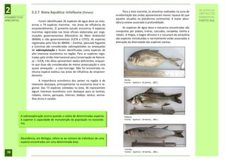 2                2.2.7 Biota Aquática: Ictiofauna (Peixes)                            Para a área marinha, as amostras realizadas na zona de
                                                                                 arrebentação das ondas apresentaram menor riqueza do que
                                                                                                                                                RELATÓRIO DE
                                                                                                                                                IMPACTO
DIAGNÓSTICO                                                                                                                                     AMBIENTAL
                                                                                 aqueles situados na plataforma continental. A maior abun-
AMBIENTAL              Foram identificadas 26 espécies de água doce ou estu-                                                                    PORTO SUL
                                                                                 dância esteve associada à profundidade.
                 arinas e 74 espécies marinhas nas áreas de influência do
                 empreendimento. O presente estudo encontrou 9 espécies                As espécies de água doce e estuarina encontradas são
                 marinhas registradas nas listas oficiais elaboradas por orga-   compostas por piabas, traíras, cascudos, carapeba, tainha e
                 nizações governamentais (Ministério do Meio Ambiente/           robalo. A tilápia, o bagre-africano e o tucunaré-da-amazônia
                 IBAMA) e não governamentais (IUCN e CITES). As espécies         são espécies introduzidas e normalmente estão associadas à
                 registradas pela lista do IBAMA – (tainha), (pescada foguete)   alteração da diversidade das espécies nativas.
                 e (corvina) são consideradas sobrexplotadas ou ameaçadas
                 de sobrexplotação e foram identificadas como espécies de
                 alto interesse econômico na região. Para as espécies regis-
                 tradas pela União Internacional para Conservação da Nature-
                 za – IUCN, três delas apresentam dados deficientes, enquan-
                 to que duas são consideradas de menor preocupação e uma
                 quase ameaçada - a raia-morcego. Não foi encontrada ne-
                 nhuma espécie exótica nas áreas de influência do empreen-
                 dimento.
                       A importância econômica dos peixes na região é de                Xaréu.
                                                                                        Fonte: Hydros Orienta, 2011.
                 relevante destaque, principalmente na economia local e re-
                 gional. Das 73 espécies coletadas na área, 36 representam
                 algum interesse econômico com destaque para as tainhas,
                 robalos, meros, garoupas, chernes, badejo, xaréus, verme-
                 lhos atuns e cavalas.




         A sobreexploração ocorre quando a coleta de determinadas espécies              Robalo.
         é superior à capacidade de manutenção da população no ecossiste-               Fonte: Hydros Orienta, 2011.
         ma.




         Abundância, em Biologia, refere-se ao número de indivíduos de uma
         espécie encontrados em uma determinada área.

                                                                                        Tainha.
 38                                                                                     Fonte: Hydros Orienta, 2011.
 