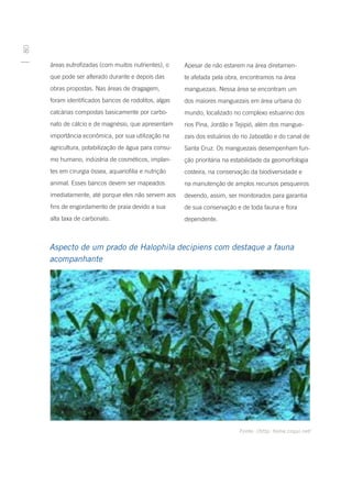 80




     áreas eutrofizadas (com muitos nutrientes), o    Apesar de não estarem na área diretamen-
     que pode ser alterado durante e depois das       te afetada pela obra, encontramos na área
     obras propostas. Nas áreas de dragagem,          manguezais. Nessa área se encontram um
     foram identificados bancos de rodolitos, algas   dos maiores manguezais em área urbana do
     calcárias compostas basicamente por carbo-       mundo, localizado no complexo estuarino dos
     nato de cálcio e de magnésio, que apresentam     rios Pina, Jordão e Tejipió, além dos mangue-
     importância econômica, por sua utilização na     zais dos estuários do rio Jaboatão e do canal de
     agricultura, potabilização de água para consu-   Santa Cruz. Os manguezais desempenham fun-
     mo humano, indústria de cosméticos, implan-      ção prioritária na estabilidade da geomorfologia
     tes em cirurgia óssea, aquariofilia e nutrição   costeira, na conservação da biodiversidade e
     animal. Esses bancos devem ser mapeados          na manutenção de amplos recursos pesqueiros
     imediatamente, até porque eles não servem aos    devendo, assim, ser monitorados para garantia
     fins de engordamento de praia devido a sua       de sua conservação e de toda fauna e flora
     alta taxa de carbonato.                          dependente.



     Aspecto de um prado de Halophila decipiens com destaque a fauna
     acompanhante




                                                                           Fonte: //http: home.coqui.net/
 