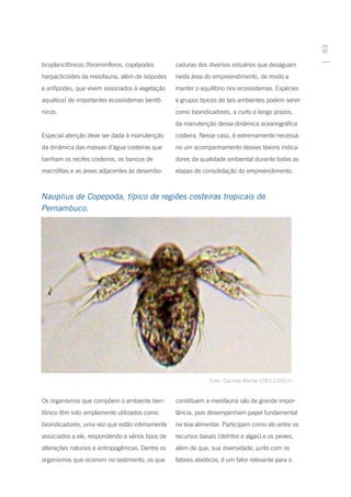 83
ticoplanctônicos (foraminíferos, copépodes        caduras dos diversos estuários que deságuam
harpacticóides da meiofauna, além de isópodes     nesta área do empreendimento, de modo a
e anfípodes, que vivem associados à vegetação     manter o equilíbrio nos ecossistemas. Espécies
aquática) de importantes ecossistemas bentô-      e grupos típicos de tais ambientes podem servir
nicos.                                            como bioindicadores, a curto e longo prazos,
                                                  da manutenção dessa dinâmica oceanográfica
Especial atenção deve ser dada à manutenção       costeira. Nesse caso, é extremamente necessá-
da dinâmica das massas d’água costeiras que       rio um acompanhamento desses táxons indica-
banham os recifes costeiros, os bancos de         dores da qualidade ambiental durante todas as
macrófitas e as áreas adjacentes às desembo-      etapas de consolidação do empreendimento.



Nauplius de Copepoda, típico de regiões costeiras tropicais de
Pernambuco.




                                                               Foto: Cacilda Rocha (25/11/2011)



Os organismos que compõem o ambiente ben-         constituem a meiofauna são de grande impor-
tônico têm sido amplamente utilizados como        tância, pois desempenham papel fundamental
bioindicadores, uma vez que estão intimamente     na teia alimentar. Participam como elo entre os
associados a ele, respondendo a vários tipos de   recursos basais (detritos e algas) e os peixes,
alterações naturais e antropogênicas. Dentre os   além de que, sua diversidade, junto com os
organismos que ocorrem no sedimento, os que       fatores abióticos, é um fator relevante para o
 