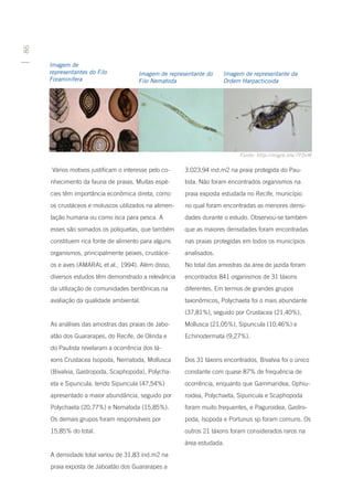 86




     Imagem de
     representantes do Filo            Imagem de representante do    Imagem de representante da
     Foraminifera                      Filo Nematoda                 Ordem Harpacticoida




                                                                           Fonte: http://migre.me/7F0vW

      Vários motivos justificam o interesse pelo co-   3.023,94 ind.m2 na praia protegida do Pau-
     nhecimento da fauna de praias. Muitas espé-       lista. Não foram encontrados organismos na
     cies têm importância econômica direta, como       praia exposta estudada no Recife, município
     os crustáceos e moluscos utilizados na alimen-    no qual foram encontradas as menores densi-
     tação humana ou como isca para pesca. A           dades durante o estudo. Observou-se também
     esses são somados os poliquetas, que também       que as maiores densidades foram encontradas
     constituem rica fonte de alimento para alguns     nas praias protegidas em todos os municípios
     organismos, principalmente peixes, crustáce-      analisados.
     os e aves (AMARAL et al., 1994). Além disso,      No total das amostras da área de jazida foram
     diversos estudos têm demonstrado a relevância     encontrados 841 organismos de 31 táxons
     da utilização de comunidades bentônicas na        diferentes. Em termos de grandes grupos
     avaliação da qualidade ambiental.                 taxonômicos, Polychaeta foi o mais abundante
                                                       (37,81%), seguido por Crustacea (21,40%),
     As análises das amostras das praias de Jabo-      Mollusca (21,05%), Sipuncula (10,46%) e
     atão dos Guararapes, do Recife, de Olinda e       Echinodermata (9,27%).
     do Paulista revelaram a ocorrência dos tá-
     xons Crustacea Isopoda, Nematoda, Mollusca        Dos 31 táxons encontrados, Bivalvia foi o único
     (Bivalvia, Gastropoda, Scaphopoda), Polycha-      constante com quase 87% de frequência de
     eta e Sipuncula, tendo Sipuncula (47,54%)         ocorrência, enquanto que Gammaridea, Ophiu-
     apresentado a maior abundância, seguido por       roidea, Polychaeta, Sipuncula e Scaphopoda
     Polychaeta (20,77%) e Nematoda (15,85%).          foram muito frequentes, e Paguroidea, Gastro-
     Os demais grupos foram responsáveis por           poda, Isopoda e Portunus sp foram comuns. Os
     15,85% do total.                                  outros 21 táxons foram considerados raros na
                                                       área estudada.
     A densidade total variou de 31,83 ind.m2 na
     praia exposta de Jaboatão dos Guararapes a
 