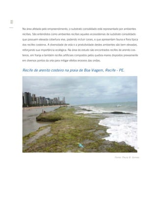 88




     Na área afetada pelo empreendimento, o substrato consolidado está representado por ambientes
     recifais. São entendidos como ambientes recifais aqueles ecossistemas de substrato consolidado
     que possuem elevada cobertura viva, podendo incluir corais, e que apresentam fauna e flora típica
     dos recifes costeiros. A diversidade de vida e a produtividade destes ambientes são bem elevadas,
     reforçando sua importância ecológica. Na área do estudo são encontrados recifes de arenito cos-
     teiros, em franja e também recifes artificiais compostos pelos quebra-mares dispostos previamente
     em diversos pontos da orla para mitigar efeitos erosivos das ondas.


     Recife de arenito costeiro na praia de Boa Viagem, Recife - PE.




                                                                            Foto: Petrônio A. Coelho Filho



                                                                                   Fonte: Paula B. Gomes
 