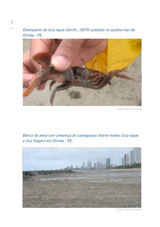 90




     Exemplares de Uca rapax (Smith, 1870) coletado no quebra-mar de
     Olinda - PE.




                                                          Fonte: Paula B. Gomes




     Banco de areia com presença de caranguejos chama marés (Uca rapax
     e Uca thayeri) em Olinda - PE.




                                                         Fonte: Paula B. Gomes
 