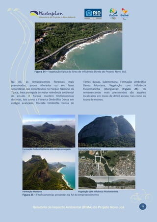 Figura 24 – Vegetação típica da Área de Influência Direta do Projeto Novo Joá.

Na AII, os remanescentes florestais mais
preservados, pouco alterados ou em fases
secundárias são encontrados no Parque Nacional da
Tijuca, área protegida de maior relevância ambiental
do estudo. O Parque mantém fitofisionomias
distintas, tais como a Floresta Ombrófila Densa em
estágio avançado, Floresta Ombrófila Densa de

Formação Ombrófila Densa em estágio avançado

Formação Montana

Terras Baixas, Submontana, Formação Ombrófila
Densa Montana, Vegetação com Influência
Fluviomarinha (Manguezal) (Figura 25). Os
remanescentes mais preservados são aqueles
localizados em locais de difícil acesso, tais como os
topos de morros.

Formação Submontana

Vegetação com Influência Fluviomarinha

Figura Erro! Nenhum texto com o estilo especificado foi encontrado no documento.-1 : Trecho próximo ao Canal da Joatinga.

Detalhe para os esparsos
Figura 25 – Fitofisionomias presentes na AII do empreendimento elementos relisctuais na paisagem da formação de manguezal.

Relatório de Impacto Ambiental (RIMA) do Projeto Novo Joá

25

 