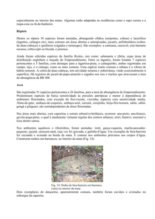 especialmente no interior das matas. Algumas estão adaptadas às residências como o sapo cururu e a
raspa-cuia ou rã-de-banheiro.

Répteis

Dentre os répteis 18 espécies foram anotadas, abrangendo ofídios (serpentes, cobras) e lacertílios
(lagartos, calangos etc), mais comuns em áreas abertas e antropizadas; jacarés, anfisbenídeos (cobra-
de-duas-cabeças) e quelônios (cágados e tartarugas). São exemplos: a caninana, cascavel, esta bastante
escassa; cobra-cipó ou bicuda, e jararaca.

Ainda foram referidas espécies da família Boidae, tais como: salamanta e jibóia, cujas áreas de
distribuição englobam o traçado do Empreendimento. Entre os lagartos, foram listadas 7 espécies
pertencentes a 5 famílias, com destaque para a lagartixa-preta, o calanguinho, ambas registradas em
campo; teju, e o calango, como as mais comuns. Uma espécie muito comum e urbana é a víbora de
hábito noturno. A cobra-de-duas-cabeças, tem atividade noturna e subterrânea, vindo ocasionalmente à
superfície. Há registros do jacaré-de-papo-amarelo e cágados nos rios e riachos que atravessam a área
de abrangência da BR 408.

Aves

São registradas 51 espécies pertencentes a 26 famílias, para a área de abrangência do Empreendimento.
Predominam espécies de baixa sensitividade às pressões antrópicas e menor à dependência de
ambientes florestados, com exceção do frei-vicente, viuvinha, espécies com sensitividade média.
Alma-de-gato, sanhaçu-de-coqueiro, sanhaçu-azul, carcará, corujinha, beija-flor-tesoura, sabiá, sabiá-
gongá e pitiguari, são semidependentes de áreas florestadas.

Nas áreas mais abertas, com capoeiras e estrato arbustivo-herbáceo, ocorrem: anu-preto, anu-branco,
gavião-pega-pinto, o qual é atualmente visitante regular dos centros urbanos; siriri, bentevi, rouxinol e
tiziu dentre outras.

Nos ambientes aquáticos e ribeirinhos, foram anotadas: irerê, garça-vaqueira, martin-pescador-
pequeno, jaçanã, saracura-sanã, cuja voz foi gravada; e galinha-d’água. Um exemplar de fura-barreira
foi escutado e avistado na borda da mata. É comum nos ambientes próximos aos corpos d’água.
Constroem ninhos em barrancos, no interior da mata (Fig. 14).




                                                            26/12/08


                            Fig. 14: Ninho de fura-barreira em barranco
                            (seta) no interior da mata.
Dois exemplares do dançarino, aparentemente comuns, também foram ouvidos e avistados no
sobosque da capoeira.
 