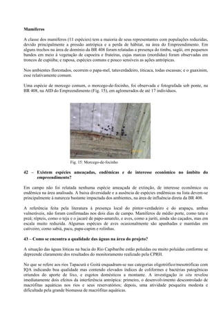 Mamíferos

A classe dos mamíferos (11 espécies) tem a maioria de seus representantes com populações reduzidas,
devido principalmente a pressão antrópica e a perda de hábitat, na área do Empreendimento. Em
alguns trechos na área de domínio da BR 408 foram relatadas a presença do timbu, sagüi, em pequenos
bandos em meio à vegetação de capoeira e fruteiras, cujas marcas (mordidas) foram observadas em
troncos de cupiúba; e raposa, espécies comuns e pouco sensíveis as ações antrópicas.

Nos ambientes florestados, ocorrem o papa-mel, tatuverdadeiro, titicaca, todas escassas; e o guaxinim,
esse relativamente comum.

Uma espécie de morcego comum, o morcego-de-focinho, foi observada e fotografada sob ponte, na
BR 408, na AID do Empreendimento (Fig. 15), em aglomerados de até 17 indivíduos.




                                                            26/12/08



                          Fig. 15: Morcego-de-focinho

42 – Existem espécies ameaçadas, endêmicas e de interesse econômico no âmbito do
     empreendimento?

Em campo não foi relatada nenhuma espécie ameaçada de extinção, de interesse econômico ou
endêmica na área analisada. A baixa diversidade e a ausência de espécies endêmicas na lista devem-se
principalmente à natureza bastante impactada dos ambientes, na área de influência direta da BR 408.

A referência feita pela literatura à presença local do pintor-verdadeiro e do arapaçu, ambas
vulneráveis, não foram confirmadas nos dois dias de campo. Mamíferos de médio porte, como tatu e
preá; répteis, como o teju e o jacaré de papo-amarelo, e aves, como a juriti, ainda são caçados, mas em
escala muito reduzida. Algumas espécies de aves ocasionalmente são apanhadas e mantidas em
cativeiro, como sabiá, pacu, papa-capim e rolinhas.

43 – Como se encontra a qualidade das águas na área do projeto?

A situação das águas lóticas na bacia do Rio Capibaribe estão poluídas ou muito poluídas conforme se
depreende claramente dos resultados do monitoramento realizado pela CPRH.

No que se refere aos rios Tapacurá e Goitá enquadram-se nas categorias oligotrófico/mesotróficas com
IQA indicando boa qualidade mas contendo elevados índices de coliformes e bactérias patogênicas
oriundos do aporte de lixo, e esgotos domésticos a montante. A investigação in situ revelou
imediatamente dois efeitos da interferência antrópica: primeiro, o desenvolvimento descontrolado de
macrófitas aquáticas nos rios e seus reservatórios; depois, uma atividade pesqueira modesta e
dificultada pela grande biomassa de macrófitas aquáticas.
 