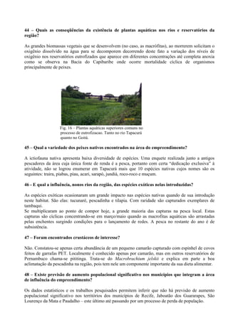 44 – Quais as conseqüências da existência de plantas aquáticas nos rios e reservatórios da
região?

As grandes biomassas vegetais que se desenvolvem (no caso, as macrófitas), ao morrerem solicitam o
oxigênio dissolvido na água para se decomporem decorrendo deste fato a variação dos níveis de
oxigênio nos reservatórios eutrofizados que aparece em diferentes concentrações até completa anoxia
como se observa na Bacia do Capibaribe onde ocorre mortalidade cíclica de organismos
principalmente de peixes.




                                                       26/12/08


                  Fig. 16 – Plantas aquáticas superiores comuns no
                  processo de eutrofizacao. Tanto no rio Tapacurá
                  quanto no Goitá.

45 – Qual a variedade dos peixes nativos encontrados na área do empreendimento?

A ictiofauna nativa apresenta baixa diversidade de espécies. Uma enquete realizada junto a antigos
pescadores da área cuja única fonte de renda é a pesca, portanto com certa “dedicação exclusiva” à
atividade, não se logrou enumerar em Tapacurá mais que 10 espécies nativas cujos nomes são os
seguintes: traira, piabas, piau, acari, sarapó, jundiá, roco-roco e muçum.

46 - E qual a influência, nonos rios da região, das espécies exóticas nelas introduzidas?

As espécies exóticas ocasionaram um grande impacto nas espécies nativas quando de sua introdução
neste habitat. São elas: tucunaré, pescadinha e tilapia. Com raridade são capturados exemplares de
tambaqui.
Se multiplicaram ao ponto de compor hoje, a grande maioria das capturas na pesca local. Estas
capturas são cíclicas concentrando-se em março/maio quando as macrofitas aquáticas são arrastadas
pelas enchentes surgindo condições para o lançamento de redes. A pesca no restante do ano é de
subsistência.

47 – Foram encontrados crustáceos de interesse?

Não. Constatou-se apenas certa abundância de um pequeno camarão capturado com espinhel de covos
feitos de garrafas PET. Localmente é conhecido apenas por camarão, mas em outros reservatórios de
Pernambuco chama-se pititinga. Trata-se do Macrobrachium jelskii e explica em parte a boa
aclimatação da pescadinha na região, pois tem nele um componente importante da sua dieta alimentar.

48 – Existe previsão de aumento populacional significativo nos municípios que integram a área
de influência do empreendimento?

Os dados estatísticos e os trabalhos pesquisados permitem inferir que não há previsão de aumento
populacional significativo nos territórios dos municípios de Recife, Jaboatão dos Guararapes, São
Lourenço da Mata e Paudalho – este último até passando por um processo de perda de população.
 