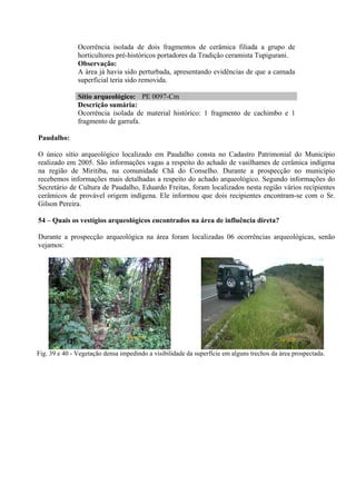 Ocorrência isolada de dois fragmentos de cerâmica filiada a grupo de
               horticultores pré-históricos portadores da Tradição ceramista Tupigurani.
               Observação:
               A área já havia sido perturbada, apresentando evidências de que a camada
               superficial teria sido removida.

               Sítio arqueológico: PE 0097-Cm
               Descrição sumária:
               Ocorrência isolada de material histórico: 1 fragmento de cachimbo e 1
               fragmento de garrafa.

Paudalho:

O único sítio arqueológico localizado em Paudalho consta no Cadastro Patrimonial do Município
realizado em 2005. São informações vagas a respeito do achado de vasilhames de cerâmica indígena
na região de Miritiba, na comunidade Chã do Conselho. Durante a prospecção no município
recebemos informações mais detalhadas a respeito do achado arqueológico. Segundo informações do
Secretário de Cultura de Paudalho, Eduardo Freitas, foram localizados nesta região vários recipientes
cerâmicos de provável origem indígena. Ele informou que dois recipientes encontram-se com o Sr.
Gilson Pereira.

54 – Quais os vestígios arqueológicos encontrados na área de influência direta?

Durante a prospecção arqueológica na área foram localizadas 06 ocorrências arqueológicas, senão
vejamos:



sendo 05 ocorrências históricas e 01 histórica e pré-histórica.




                                  26/12/08
                                                                                           26/12/08


Fig. 39 e 40 - Vegetação densa impedindo a visibilidade da superfície em alguns trechos da área prospectada.
 