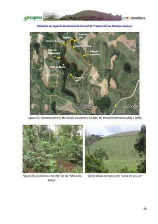 Relatório de Impacto Ambiental da Central de Tratamento de Resíduos Ipojuca




   Figura 25. Remanescentes florestais existentes na área do empreendimento (AID e ADA)




Figura 26.a) Clareiras no interior da Mata do      b) Extensos campos com cana de açúcar
                    Bicho




                                                                                           56
 