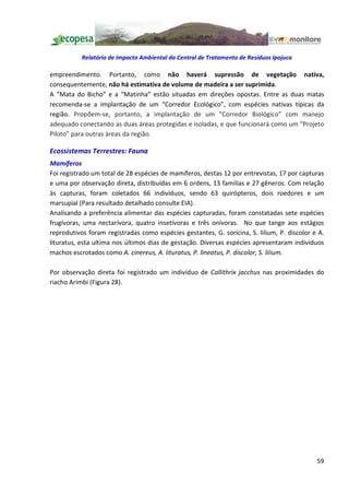 Relatório de Impacto Ambiental da Central de Tratamento de Resíduos Ipojuca

empreendimento. Portanto, como não haverá supressão de vegetação nativa,
consequentemente, não há estimativa de volume de madeira a ser suprimida.
A Mata do Bicho e a Matinha estão situadas em direções opostas. Entre as duas matas
recomenda-se a implantação de um Corredor Ecológico , com espécies nativas típicas da
região. Propõem-se, portanto, a implantação de um Corredor Biológico com manejo
adequado conectando as duas áreas protegidas e isoladas, e que funcionará como um Projeto
Piloto para outras áreas da região.

Ecossistemas Terrestres: Fauna
Mamíferos
Foi registrado um total de 28 espécies de mamíferos, destas 12 por entrevistas, 17 por capturas
e uma por observação direta, distribuídas em 6 ordens, 13 famílias e 27 gêneros. Com relação
às capturas, foram coletados 66 indivíduos, sendo 63 quirópteros, dois roedores e um
marsupial (Para resultado detalhado consulte EIA).
Analisando a preferência alimentar das espécies capturadas, foram constatadas sete espécies
frugívoras, uma nectarívora, quatro insetívoras e três onívoras. No que tange aos estágios
reprodutivos foram registradas como espécies gestantes, G. soricina, S. lilium, P. discolor e A.
lituratus, esta ultima nos últimos dias de gestação. Diversas espécies apresentaram indivíduos
machos escrotados como A. cinereus, A. lituratus, P. lineatus, P. discolor, S. lilium.

Por observação direta foi registrado um indivíduo de Callithrix jacchus nas proximidades do
riacho Arimbi (Figura 28).




                                                                                             59
 