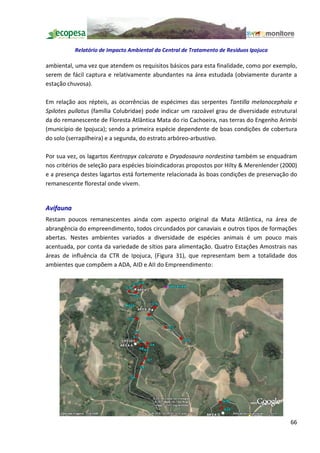 Relatório de Impacto Ambiental da Central de Tratamento de Resíduos Ipojuca

ambiental, uma vez que atendem os requisitos básicos para esta finalidade, como por exemplo,
serem de fácil captura e relativamente abundantes na área estudada (obviamente durante a
estação chuvosa).

Em relação aos répteis, as ocorrências de espécimes das serpentes Tantilla melanocephala e
Spilotes pullatus (família Colubridae) pode indicar um razoável grau de diversidade estrutural
da do remanescente de Floresta Atlântica Mata do rio Cachoeira, nas terras do Engenho Arimbi
(município de Ipojuca); sendo a primeira espécie dependente de boas condições de cobertura
do solo (serrapilheira) e a segunda, do estrato arbóreo-arbustivo.

Por sua vez, os lagartos Kentropyx calcarata e Dryadosaura nordestina também se enquadram
nos critérios de seleção para espécies bioindicadoras propostos por Hilty & Merenlender (2000)
e a presença destes lagartos está fortemente relacionada às boas condições de preservação do
remanescente florestal onde vivem.


Avifauna
Restam poucos remanescentes ainda com aspecto original da Mata Atlântica, na área de
abrangência do empreendimento, todos circundados por canaviais e outros tipos de formações
abertas. Nestes ambientes variados a diversidade de espécies animais é um pouco mais
acentuada, por conta da variedade de sítios para alimentação. Quatro Estações Amostrais nas
áreas de influência da CTR de Ipojuca, (Figura 31), que representam bem a totalidade dos
ambientes que compõem a ADA, AID e AII do Empreendimento:




                                                                                           66
 