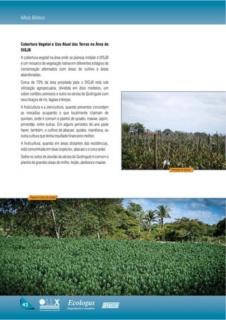 Meio Biótico



Cobertura Vegetal e Uso Atual das Terras na Área do
DISJB
A cobertura vegetal na área onde se planeja instalar o DISJB
é um mosaico de vegetação nativa em diferentes estágios de
conservação alternados com áreas de cultivo e áreas
abandonadas.
Cerca de 70% da área projetada para o DISJB está sob
utilização agropecuária, dividida em dois modelos, um
sobre cordões arenosos e outro na várzea do Quitingute com
seus braços de rio, lagoas e brejos.
A fruticultura e a olericultura, quando presentes circundam
as moradias ocupando o que localmente chamam de
quintais, onde é comum o plantio de quiabo, maxixe, aipim,
pimentão, entre outras. Em alguns períodos do ano pode
haver, também, o cultivo de abacaxi, quiabo, mandioca, ou
outra cultura que tenha resultado financeiro melhor.
A fruticultura, quando em áreas distantes das residências,
está concentrada em duas espécies, abacaxi e o coco anão.
Sobre os solos de aluvião da várzea do Quitingute é comum o
plantio de grandes áreas de milho, feijão, abóbora e maxixe.
                                                                          Plantação de abacaxi




      Pequena Cultura de Quiabo




 42                                       Ecologus                Agrar
                                          Engenharia Consultiva
               Uma empresa do Grupo EBX
 