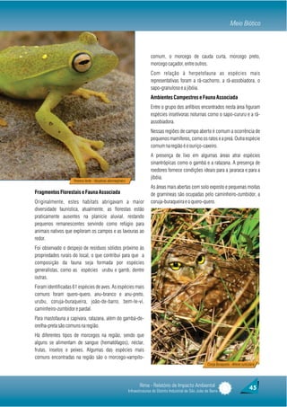 Meio Biótico



                                                                              comum, o morcego de cauda curta, morcego preto,
                                                                              morcego caçador, entre outros.
                                                                              Com relação à herpetofauna as espécies mais
                                                                              representativas foram a rã-cachorro, a rã-assobiadora, o
                                                                              sapo-granuloso e a jibóia.
                                                                              Ambientes Campestres e Fauna Associada
                                                                              Entre o grupo dos anfíbios encontrados nesta área figuram
                                                                              espécies insetívoras noturnas como o sapo-cururu e a rã-
                                                                              assobiadora.
                                                                              Nessas regiões de campo aberto é comum a ocorrência de
                                                                              pequenos mamíferos, como os ratos e a preá. Outra espécie
                                                                              comum na região é o ouriço-caxeiro.
                                                                              A presença de lixo em algumas áreas atrai espécies
                                                                              sinantrópicas como o gambá e a ratazana. A presença de
                                                                              roedores fornece condições ideais para a jararaca e para a
                                                                              jibóia.
                    Perereca Verde - Hipsyboas albomarginatus
                                                                              As áreas mais abertas com solo exposto e pequenas moitas
Fragmentos Florestais e Fauna Associada                                       de gramíneas são ocupadas pelo caminheiro-zumbidor, a
Originalmente, estes habitats abrigavam a maior                               coruja-buraqueira e o quero-quero.
diversidade faunística, atualmente, as florestas estão
praticamente ausentes na planície aluvial, restando
pequenos remanescentes servindo como refúgio para
animais nativos que exploram os campos e as lavouras ao
redor.
Foi observado o despejo de resíduos sólidos próximo às
propriedades rurais do local, o que contribui para que a
composição da fauna seja formada por espécies
generalistas, como as espécies urubu e gamb, dentre
outras.
Foram identificadas 61 espécies de aves. As espécies mais
comuns foram quero-quero, anu-branco e anu-preto,
urubu, coruja-buraqueira, joão-de-barro, bem-te-vi,
caminheiro-zumbidor e pardal.
Para mastofauna a capivara, ratazana, além do gambá-de-
orelha-preta são comuns na região.
Há diferentes tipos de morcegos na região, sendo que
alguns se alimentam de sangue (hematófagos), néctar,
frutas, insetos e peixes. Algumas das espécies mais
comuns encontradas na região são o morcego-vampito-
                                                                                                                    Coruja Buraqueira - Athene cunicularia




                                                                       Rima - Relatório de Impacto Ambiental                                         45
                                                                Infraestruturas do Distrito Industrial de São João da Barra
 