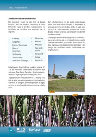 Meio Socioeconômico



Zona do Cinturão Canavieiro e Ceramista
Este subespaço, situado na parte leste da Baixada                       Com o fechamento de três das quatro usinas situadas
Campista, teve sua ocupação consolidada de forma                        dentro e em torno deste subespaço, e aproveitando a
fortemente ligada à atividade sucroalcooleira. As                       presença na mesma zona de boas jazidas de argila para
localidades que compõem esse subespaço são as                           produção de cerâmica vermelha, prosperou nas últimas
seguintes:                                                              décadas um setor ceramista que conta com mais de 100
                                                                        unidades produtivas.

                                               Ÿ      Martins Laje      Os empregos remanescentes na agricultura canavieira e,
Ÿ        Cambaíba
                                                                        agora, nas cerâmicas, são as principais fontes de renda da
Ÿ        Campo Novo                            Ÿ      Mineiros
                                                                        população desta região, que também está ocupada, em
Ÿ        Espinho / Olhos d'Água                Ÿ      Mussurepe         parte expressiva, nos estabelecimentos comerciais e de
Ÿ        Marrecas                              Ÿ      Poço Gordo        serviços das localidades maiores, centralizadoras das
                                               Ÿ      Babosa            funções urbanas.
Ÿ        Santo Amaro
Ÿ        São Sebastião                         Ÿ      Baixa Grande
Ÿ        Saturnino Braga                       Ÿ      Baltazar
Ÿ        Venda Nova / Montenegro               Ÿ      Beira do Taí


Baixa Grande e Saturnino Braga, situadas à beira da RJ-
216, são localidades centralizadoras da dinâmica deste
subespaço. Baixa Grande, Cambaíba e Barcelos destacam-
se pela sua origem ligadas à usinas de açúcar e álcool.
Traço desta recente herança econômica é a presença ainda
hoje de vastas porções de canaviais que, intercaladas com
superfícies de pastagens, dominam a paisagem da região,
conforme se percebe visualmente percorrendo as estradas
locais.

                                                                             Cambaiba

                                                                                                                Canavial




    56                                    Ecologus                   Agrar
                                          Engenharia Consultiva
               Uma empresa do Grupo EBX
 
