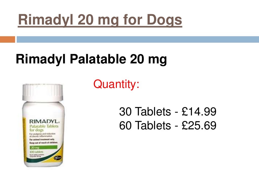 Rimadyl for Dogs