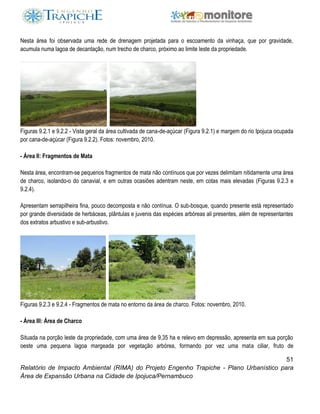 51
Relatório de Impacto Ambiental (RIMA) do Projeto Engenho Trapiche - Plano Urbanístico para
Área de Expansão Urbana na Cidade de Ipojuca/Pernambuco
Nesta área foi observada uma rede de drenagem projetada para o escoamento da vinhaça, que por gravidade,
acumula numa lagoa de decantação, num trecho de charco, próximo ao limite leste da propriedade.
Figuras 9.2.1 e 9.2.2 - Vista geral da área cultivada de cana-de-açúcar (Figura 9.2.1) e margem do rio Ipojuca ocupada
por cana-de-açúcar (Figura 9.2.2). Fotos: novembro, 2010.
- Área II: Fragmentos de Mata
Nesta área, encontram-se pequenos fragmentos de mata não contínuos que por vezes delimitam nitidamente uma área
de charco, isolando-o do canavial, e em outras ocasiões adentram neste, em cotas mais elevadas (Figuras 9.2.3 e
9.2.4).
Apresentam serrapilheira fina, pouco decomposta e não contínua. O sub-bosque, quando presente está representado
por grande diversidade de herbáceas, plântulas e juvenis das espécies arbóreas ali presentes, além de representantes
dos extratos arbustivo e sub-arbustivo.
Figuras 9.2.3 e 9.2.4 - Fragmentos de mata no entorno da área de charco. Fotos: novembro, 2010.
- Área III: Área de Charco
Situada na porção leste da propriedade, com uma área de 9,35 ha e relevo em depressão, apresenta em sua porção
oeste uma pequena lagoa margeada por vegetação arbórea, formando por vez uma mata ciliar, fruto de
 