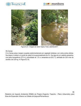 56
Relatório de Impacto Ambiental (RIMA) do Projeto Engenho Trapiche - Plano Urbanístico para
Área de Expansão Urbana na Cidade de Ipojuca/Pernambuco
Figura 9.2.9 – Imagens do riacho Tapera. Fotos: setembro/2011
Rio Canoas
O rio Canoas possui margens ocupadas predominantemente por vegetação herbácea e em certos pontos arbórea.
Sua largura é variável e no ponto de coleta foi de aproximadamente de 8 m. Sua água de cor castanha apresentou
uma baixa transparência (0,70 m), profundidade de 1,70 m, temperatura de 26,5 °C, salinidade de 0,38 e teor de
clorofila a de 3,00 mg. m3 (Figura 9.2.10).
 