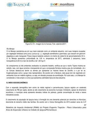 57
Relatório de Impacto Ambiental (RIMA) do Projeto Engenho Trapiche - Plano Urbanístico para
Área de Expansão Urbana na Cidade de Ipojuca/Pernambuco
Figura 9.2.10 – Imagem do rio Canoas. Foto: setembro/2011
Rio Merepe
O rio Merepe caracterizou-se em sua maior extensão como um ambiente estuarino, com suas margens ocupadas
por vegetação herbácea como junco (Juncus sp. L.), vegetação semelhante a gramíneas, que crescem em geral em
alagadiços e pelo manguezal. Possui largura bastante variável e no trecho de coleta foi de aproximadamente 30 m.
O rio Merepe apresentou profundidade de 1,60 m, temperatura de 26°C, salinidade 2 (estuarino), baixa
transparência (0,40 m) e teor de clorofila a de 1,28 mg.m3.
Ao compararmos os três ambientes analisados no presente trabalho, verificou-se que o riacho Tapera mostrou-se
estreito, raso, com água corrente e transparente em que a composição florística mostrou grau de normalidade. Já o
rio Canoas destacou-se dentre os demais por apresentar os maiores teores de clorofila a e por ter as
Euglenophyceas como o grupo mais representativo. De acordo com a literatura, este grupo tem ido registrado em
ambientes ricos em matéria orgânica, ou seja, em elevado processo de eutrofização. Por outro lado, o rio Merepe foi
considerado o mais amplo e o único que apresentou salinidade típica de área estuarina.
9.3 MEIO SOCIOECONÔMICO
Com a expansão demográfica bem acima da média regional e pernambucana, Ipojuca registra um acelerado
crescimento do PIB per capita, devido ao alto crescimento da economia municipal. Entretanto, apesar do dinamismo
econômico, o município ainda apresenta elevados índices de pobreza, grande concentração de renda e baixos
indicadores sociais.
O crescimento da população de Ipojuca levou à formação de uma demanda potencial por domicílios no Município,
decorrente do tamanho médio das famílias. De acordo com o Censo Demográfico de 2010 existiam cerca de 4,37
 