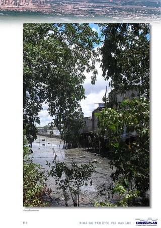 Área do entorno.




111                R I M A D O P R O J E TO V I A M A N G U E
 