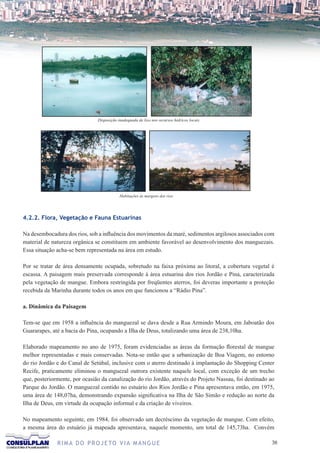 Disposição inadequada de lixo nos recursos hídricos locais




                                           Habitações às margens dos rios




4.2.2. Flora, Vegetação e Fauna Estuarinas

Na desembocadura dos rios, sob a influência dos movimentos da maré, sedimentos argilosos associados com
material de natureza orgânica se constituem em ambiente favorável ao desenvolvimento dos manguezais.
Essa situação acha-se bem representada na área em estudo.

Por se tratar de área densamente ocupada, sobretudo na faixa próxima ao litoral, a cobertura vegetal é
escassa. A paisagem mais preservada corresponde à área estuarina dos rios Jordão e Pina, caracterizada
pela vegetação de mangue. Embora restringida por freqüentes aterros, foi deveras importante a proteção
recebida da Marinha durante todos os anos em que funcionou a “Rádio Pina”.

a. Dinâmica da Paisagem

Tem-se que em 1958 a influência do manguezal se dava desde a Rua Armindo Moura, em Jaboatão dos
Guararapes, até a bacia do Pina, ocupando a Ilha de Deus, totalizando uma área de 238,10ha.

Elaborado mapeamento no ano de 1975, foram evidenciadas as áreas da formação florestal de mangue
melhor representadas e mais conservadas. Nota-se então que a urbanização de Boa Viagem, no entorno
do rio Jordão e do Canal de Setúbal, inclusive com o aterro destinado à implantação do Shopping Center
Recife, praticamente eliminou o manguezal outrora existente naquele local, com exceção de um trecho
que, posteriormente, por ocasião da canalização do rio Jordão, através do Projeto Nassau, foi destinado ao
Parque do Jordão. O manguezal contido no estuário dos Rios Jordão e Pina apresentava então, em 1975,
uma área de 148,07ha, demonstrando expansão significativa na Ilha de São Simão e redução ao norte da
Ilha de Deus, em virtude da ocupação informal e da criação de viveiros.

No mapeamento seguinte, em 1984, foi observado um decréscimo da vegetação de mangue. Com efeito,
a mesma área do estuário já mapeada apresentava, naquele momento, um total de 145,73ha. Convém

              R I M A D O P R O J E TO V I A M A N G U E                                                3
 