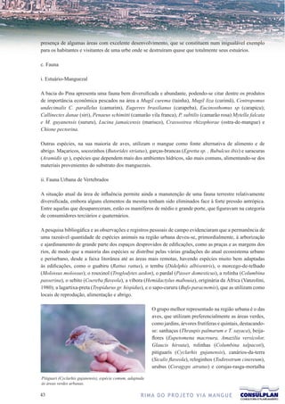 presença de algumas áreas com excelente desenvolvimento, que se constituem num inigualável exemplo
para os habitantes e visitantes de uma urbe onde se destruíram quase que totalmente seus estuários.

c. Fauna

i. Estuário-Manguezal

A bacia do Pina apresenta uma fauna bem diversificada e abundante, podendo-se citar dentre os produtos
de importância econômica pescados na área a Mugil curema (tainha), Mugil liza (curimã), Centropomus
undecimalis C. parallelus (camurim), Eugerres brasilianus (carapeba), Eucinosthomus sp (carapicu);
Callinectes danae (siri), Penaeus schimitti (camarão vila franca), P. subtilis (camarão rosa) Mytella falcata
e M. guyanensis (sururu), Lucina jamaicensis (marisco), Crassostrea rhizophorae (ostra-de-mangue) e
Chione pectorina.

Outras espécies, na sua maioria de aves, utilizam o mangue como fonte alternativa de alimento e de
abrigo. Maçaricos, socozinhos (Butorides striatus), garças-brancas (Egretta sp. , Bubulcus ibis) e saracuras
(Aramidis sp.), espécies que dependem mais dos ambientes hídricos, são mais comuns, alimentando-se dos
materiais provenientes do substrato dos manguezais.

ii. Fauna Urbana de Vertebrados

A situação atual da área de influência permite ainda a manutenção de uma fauna terrestre relativamente
diversificada, embora alguns elementos da mesma tenham sido eliminados face à forte pressão antrópica.
Entre aquelas que desapareceram, estão os mamíferos de médio e grande porte, que figuravam na categoria
de consumidores terciários e quaternários.

A pesquisa bibliogáfica e as observações e registros pessoais de campo evidenciaram que a permanência de
uma razoável quantidade de espécies animais na região urbana deveu-se, primordialmente, à arborização
e ajardinamento de grande parte dos espaços desprovidos de edificações, como as praças e as margens dos
rios, de modo que a maioria das espécies se distribui pelas várias gradações do atual ecossistema urbano
e periurbano, desde a faixa litorânea até as áreas mais remotas, havendo espécies muito bem adaptadas
às edificações, como o guabiru (Rattus rattus), o tembu (Didelphis albiventris), o morcego-de-telhado
(Molossus molossus); o rouxinol (Troglodytes aedon), o pardal (Passer domesticus), a rolinha (Columbina
passerina), o sebito (Coereba flaveola), a víbora (Hemidactylus mabouia), originária da África (Vanzolini,
1980); a lagartixa-preta (Tropidurus gr. hispidus), e o sapo-cururu (Bufo paracnemis), que as utilizam como
locais de reprodução, alimentação e abrigo.

                                                            O grupo melhor representado na região urbana é o das
                                                            aves, que utilizam preferencialmente as áreas verdes,
                                                            como jardins, árvores frutíferas e quintais, destacando-
                                                            se: sanhaçus (Thraupis palmarum e T. sayaca), beija-
                                                            flores (Eupetomena macroura, Amazilia versicolor,
                                                            Glaucis hirsuta), rolinhas (Columbina talpacoti),
                                                            pitiguarís (Cyclarhis gujanensis), canários-da-terra
                                                            (Sicalis flaveola), reloginhos (Todirostrum cinereum),
                                                            urubus (Coragyps atratus) e corujas-rasga-mortalha

Pitiguari (Cyclarhis gujanensis), espécie comum, adaptada
às áreas verdes urbanas.

3                                                     R I M A D O P R O J E TO V I A M A N G U E
 
