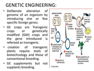 ADVANCES IN BIOTECHNOLOGY OF VEGETABLE CROPS | PPTX