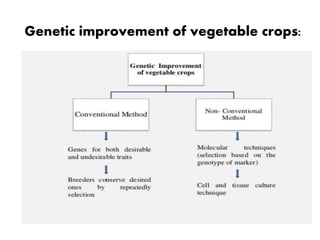 ADVANCES IN BIOTECHNOLOGY OF VEGETABLE CROPS | PPTX