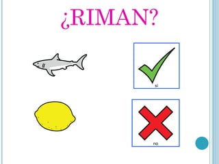 ¿RIMAN? 
