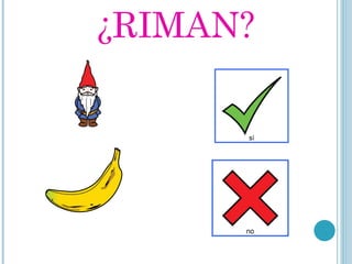 ¿RIMAN? 