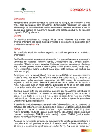 GUAIAMUNS
Abrigam-se em buracos cavados na parte alta do mangue, no limite com a terra
firme. São capturados com armadilhas denominadas “ratoeiras” em vista da
semelhança do funcionamento com as verdadeiras ratoeiras. Preferem a Ilha de
Cocaia para captura de guaiamuns quando uma pessoa conduz 20-30 ratoeiras
pegando 20-30 guaiamuns.
OSTRAS
Os ostreiros trabalham no mangue. Aí as partes inferiores dos caules das
árvores emergem nas baixa-mares permitindo o descolamento das ostras com
auxilio de facões (Foto 10).

PEIXES
As principais espécies variam segundo o local de pesca e o apetrecho
empregado:

No Rio Massangana usa-se rede de emalhe, com a qual se pesca uma grande
variedade de espécies: camurim (robalo, Centropomus spp.), arraias, bagres,
carapeba (Diapterus spp.), caranha (Lutjanus griseus), carapitanga (Lutjanus
spp.), baúna (dentão jovem, Lutjanus jocu), sauna (tainha jovem, Mugil spp.),
mero (Epinephelus itaiara, é devolvido à água, está proibida sua captura por
estar em perigo).
Empregam rede de seda (gill net) com malhas de 20-30 mm, que eles mesmos
fazem a mão. São redes de 18 a 40 metros de comprimento e 2 metros de
altura, usam redes continuas alcançando até 700 metros de comprimento,
segundo o local de pesca. Pescam 8 pescadores juntos, todos vão de canoa a
remo. A pescaria dura 24 horas obtendo produções de 40-50 kg em cada saída
de espécies misturadas, sendo realizadas 3 pescarias por semana.
Também ocorre este tipo de pescaria realizada por pescadores individuais da
Ilha de Tatuoca, obtendo produções de 10-15 kg por pessoa, em 24 horas de
pesca. A produção neste caso é maior, pois os pescadores mais experientes
realizam duas coletas, uma às 10 pm e outra ao retirar o apetrecho para obter
uma melhor qualidade da carne.
A venda da produção se realiza na feira de Cabo ou Gaibu, ou no barzinho de
Tatuoca, aos trabalhadores do Estaleiro ou a turistas. Os preços variam segundo
a espécie e o tamanho, sendo as melhor pagas: camorim, R$15,00 (quinze
reais); carapeba, R$15,00 (quinze reais); tainha, R$8,00 (oito reais) e as mais
baratas: carapitanga, R$4,00 (quatro reais); baúna, R$4,00 (quatro reais);
sauna, R$4,00 (quatro reais) o quilo.

No canal de navegação emprega-se principalmente tarrafa para pescar tainha e
carapeba. A tarrafa geralmente possui 32 palmos de circunferência e malha de
30 mm, e é geralmente construída com náilon fio 40. A pesca se realiza com

                                                                       RIMA/C - 42
 
