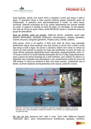 duas pessoas, sendo uma quem rema a jangada e outra que lança a rede à
água. O pescador lança a rede quando observa peixes passando perto da
embarcação. A pescaria dura aproximadamente 5 horas, na maré baixa-
enchente, obtendo produções de 6 kg, porém dependendo em grande medida
do vento. A captura é vendida na feira de Cabo, no mercadão, no dia sábado.
Um total de 20 kg de peixe inteiro rende R$150,00 (cento e cinqüenta reais) ao
grupo de pescadores.
Baía de SUAPE, perto do arrecife, obtêm-se tainha, carapeba, peixe gato
(família Serranidae), cambuba (Haemulon flavolineatum), carapau (garajuba,
Caranx chrysos), canguitos (gordinho, Prepilus paru), dentão, salema.
Esta pesca, como a da agulha, é feita com rede de cerco cuja operação
geralmente requer duas pessoas uma que conduz a canoa com a rede e outra
que lança a rede à água. Ao cercar o cardume, batem com varas ou remos no
centro da rede quando os peixes em fuga são emalhados no pano da rede. As
duas últimas pescarias registradas foram realizadas, respectivamente, entre 11-
16 horas e entre 8-12 horas obtendo produções de 4,0 e 4,5kg. Especificamente,
para a pesca de tainha emprega-se a rede tainheira, com malhas de 35mm e a
depender das condições dos pescadores o seu comprimento oscila em torno de
300 metros. O cerco ao cardume é feito com duas canoas. Juntamente com a
tainha, ocorrem espécies acompanhantes como sauna, camorim e serra.




   Foto 10 – (a) Pesca com tarrafa em jangada no canal de navegação de Tatuoca. (b) Pesca
   de tainha com covo (armadilha) na Baía de SUAPE e mar de fora. (c) Tarrafa secando-se
   no porão da casa.


No mar de fora pesca-se com rede e covo. Com rede obtêm-se biquara
(Haemulon spp.), serra (Scomberomorus brasiliensis), garajuba, chicharro

                                                                                        RIMA/C - 43
 
