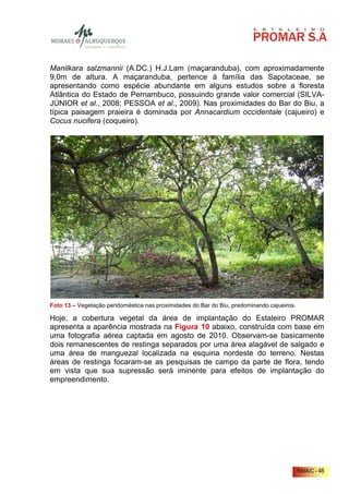 Manilkara salzmannii (A.DC.) H.J.Lam (maçaranduba), com aproximadamente
9,0m de altura. A maçaranduba, pertence à família das Sapotaceae, se
apresentando como espécie abundante em alguns estudos sobre a floresta
Atlântica do Estado de Pernambuco, possuindo grande valor comercial (SILVA-
JÚNIOR et al., 2008; PESSOA et al., 2009). Nas proximidades do Bar do Biu, a
típica paisagem praieira é dominada por Annacardium occidentale (cajueiro) e
Cocus nucifera (coqueiro).




Foto 13 – Vegetação peridoméstica nas proximidades do Bar do Biu, predominando cajueiros.

Hoje, a cobertura vegetal da área de implantação do Estaleiro PROMAR
apresenta a aparência mostrada na Figura 10 abaixo, construída com base em
uma fotografia aérea captada em agosto de 2010. Observam-se basicamente
dois remanescentes de restinga separados por uma área alagável de salgado e
uma área de manguezal localizada na esquina nordeste do terreno. Nestas
áreas de restinga focaram-se as pesquisas de campo da parte de flora, tendo
em vista que sua supressão será iminente para efeitos de implantação do
empreendimento.




                                                                                            RIMA/C - 46
 