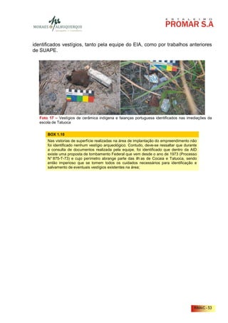 identificados vestígios, tanto pela equipe do EIA, como por trabalhos anteriores
de SUAPE.




   Foto 17 – Vestígios de cerâmica indígena e faianças portuguesa identificados nas imediações da
   escola de Tatuoca


       BOX 1.10
       Nas vistorias de superfície realizadas na área de implantação do empreendimento não
       foi identificado nenhum vestígio arqueológico. Contudo, deve-se ressaltar que durante
       a consulta de documentos realizada pela equipe, foi identificado que dentro da AID
       existe uma proposta de tombamento Federal que vem desde o ano de 1973 (Processo
       N° 875-T-73) e cujo perímetro abrange parte das ilh as de Cocaia e Tatuoca, sendo
       então imperioso que se tomem todos os cuidados necessários para identificação e
       salvamento de eventuais vestígios existentes na área;




                                                                                          RIMA/C - 53
 