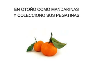 EN OTOÑO COMO MANDARINAS
Y COLECCIONO SUS PEGATINAS

 