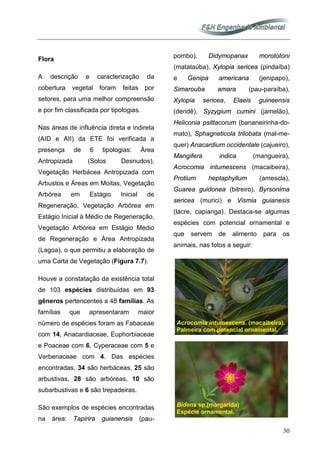 30
Flora
A descrição e caracterização da
cobertura vegetal foram feitas por
setores, para uma melhor compreensão
e por fim classificada por tipologias.
Nas áreas de influência direta e indireta
(AID e AII) da ETE foi verificada a
presença de 6 tipologias: Área
Antropizada (Solos Desnudos),
Vegetação Herbácea Antropizada com
Arbustos e Áreas em Moitas, Vegetação
Arbórea em Estágio Inicial de
Regeneração, Vegetação Arbórea em
Estágio Inicial à Médio de Regeneração,
Vegetação Arbórea em Estágio Médio
de Regeneração e Área Antropizada
(Lagoa), o que permitiu a elaboração de
uma Carta de Vegetação (Figura 7.7).
Houve a constatação da existência total
de 103 espécies distribuídas em 93
gêneros pertencentes a 48 famílias. As
famílias que apresentaram maior
número de espécies foram as Fabaceae
com 14, Anacardiaceae, Euphorbiaceae
e Poaceae com 6, Cyperaceae com 5 e
Verbenaceae com 4. Das espécies
encontradas, 34 são herbáceas, 25 são
arbustivas, 28 são arbóreas, 10 são
subarbustivas e 6 são trepadeiras.
São exemplos de espécies encontradas
na área: Tapirira guianensis (pau-
pombo), Didymopanax morototoni
(matataúba), Xylopia sericea (pindaíba)
e Genipa americana (jenipapo),
Simarouba amara (pau-paraíba),
Xylopia sericea, Elaeis guineensis
(dendê), Syzygium cumini (jamelão),
Heliconia psittacorum (bananeirinha-do-
mato), Sphagneticola trilobata (mal-me-
quer) Anacardium occidentale (cajueiro),
Mangifera indica (mangueira),
Acrocomia intumescens (macaibeira),
Protium heptaphyllum (amescla),
Guarea guidonea (bilreiro), Byrsonima
sericea (murici) e Vismia guianesis
(lacre, capianga). Destaca-se algumas
espécies com potencial ornamental e
que servem de alimento para os
animais, nas fotos a seguir:
Acrocomia intumescens. (macaibeira).
Palmeira com potencial ornamental.
Bidens sp.(margarida)
Espécie ornamental.
 