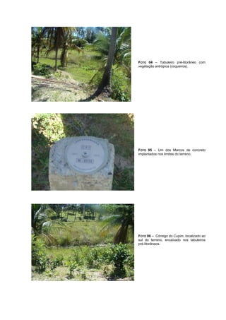 FOTO 04 – Tabuleiro pré-litorâneo com
vegetação antrópica (coqueiros).
FOTO 05 – Um dos Marcos de concreto
implantados nos limites do terreno.
FOTO 06 – Córrego do Cupim, localizado ao
sul do terreno, encaixado nos tabuleiros
pré-litorâneos.
 