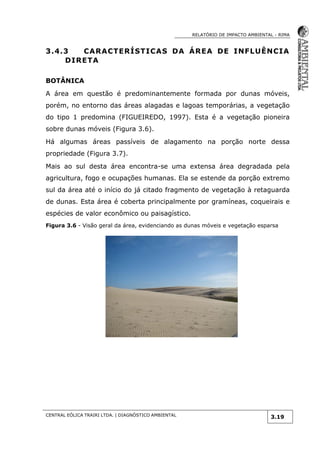 RELATÓRIO DE IMPACTO AMBIENTAL - RIMA
CENTRAL EÓLICA TRAIRI LTDA. | DIAGNÓSTICO AMBIENTAL
3.19
3.4.3 CARACTERÍSTICAS DA ÁREA DE INFLUÊNCIA
DIRETA
BOTÂNICA
A área em questão é predominantemente formada por dunas móveis,
porém, no entorno das áreas alagadas e lagoas temporárias, a vegetação
do tipo 1 predomina (FIGUEIREDO, 1997). Esta é a vegetação pioneira
sobre dunas móveis (Figura 3.6).
Há algumas áreas passíveis de alagamento na porção norte dessa
propriedade (Figura 3.7).
Mais ao sul desta área encontra-se uma extensa área degradada pela
agricultura, fogo e ocupações humanas. Ela se estende da porção extremo
sul da área até o início do já citado fragmento de vegetação à retaguarda
de dunas. Esta área é coberta principalmente por gramíneas, coqueirais e
espécies de valor econômico ou paisagístico.
Figura 3.6 - Visão geral da área, evidenciando as dunas móveis e vegetação esparsa
 