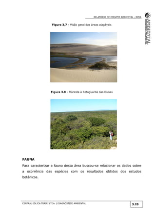RELATÓRIO DE IMPACTO AMBIENTAL - RIMA
CENTRAL EÓLICA TRAIRI LTDA. | DIAGNÓSTICO AMBIENTAL
3.20
Figura 3.7 - Visão geral das áreas alagáveis
Figura 3.8 - Floresta à Retaguarda das Dunas
FAUNA
Para caracterizar a fauna desta área buscou-se relacionar os dados sobre
a ocorrência das espécies com os resultados obtidos dos estudos
botânicos.
 