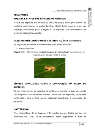 RELATÓRIO DE IMPACTO AMBIENTAL - RIMA
CENTRAL EÓLICA TRAIRI LTDA. | DIAGNÓSTICO AMBIENTAL
3.25
RESULTADOS
RIQUEZA E STATUS DAS ESPÉCIES DE ANFÍBIOS
A lista das espécies de anfíbios da área de estudo inclui pelo menos 22
espécies pertencentes a quatro famílias. Deste total, nove tiveram sua
presença confirmada para a região e 13 espécies são consideradas de
presença potencial na região.
HABITATS UTILIZADOS PELOS ANFÍBIOS NA ÁREA DE ESTUDO
Os seguintes ambientes são relevantes para estes animais:
 Áreas alagáveis
Figura 3.12 – Rãzinha-do-junco (dendropsophus gr. rubicundulus), espécie comum em
áreas alagadas da região (foto: t. pinto).
SÍNTESE CONCLUSIVA SOBRE A COMPOSIÇÃO DA FAUNA DE
ANFÍBIOS
De um modo geral, as espécies de anfíbios presentes na área de estudo
são adaptadas aos ambientes abertos. Nenhuma das espécies, sejam elas
confirmadas para a área ou de potencial ocorrência, é ameaçada de
extinção.
MASTOFAUNA
Pela necessidade de se levantar informações acerca destes animais no
município de Trairi, foram amostradas áreas adjacentes à área de
 