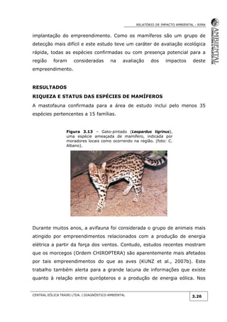 RELATÓRIO DE IMPACTO AMBIENTAL - RIMA
CENTRAL EÓLICA TRAIRI LTDA. | DIAGNÓSTICO AMBIENTAL
3.26
implantação do empreendimento. Como os mamíferos são um grupo de
detecção mais difícil e este estudo teve um caráter de avaliação ecológica
rápida, todas as espécies confirmadas ou com presença potencial para a
região foram consideradas na avaliação dos impactos deste
empreendimento.
RESULTADOS
RIQUEZA E STATUS DAS ESPÉCIES DE MAMÍFEROS
A mastofauna confirmada para a área de estudo inclui pelo menos 35
espécies pertencentes a 15 famílias.
Figura 3.13 – Gato-pintado (Leopardus tigrinus),
uma espécie ameaçada de mamífero, indicada por
moradores locais como ocorrendo na região. (foto: C.
Albano).
Durante muitos anos, a avifauna foi considerada o grupo de animais mais
atingido por empreendimentos relacionados com a produção de energia
elétrica a partir da força dos ventos. Contudo, estudos recentes mostram
que os morcegos (Ordem CHIROPTERA) são aparentemente mais afetados
por tais empreendimentos do que as aves (KUNZ et al., 2007b). Este
trabalho também alerta para a grande lacuna de informações que existe
quanto à relação entre quirópteros e a produção de energia eólica. Nos
 
