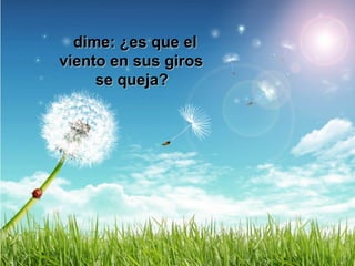 dime: ¿es que eldime: ¿es que el
viento en sus girosviento en sus giros
se queja?se queja?
 
